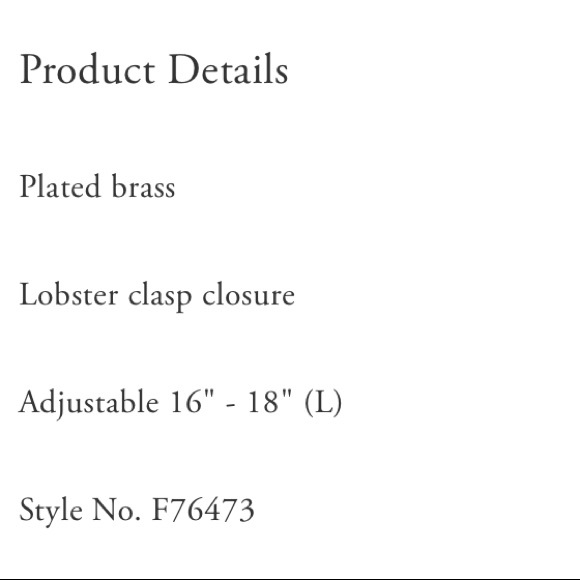 BOXED Coach Signature Link Necklace - Picture 6 of 6